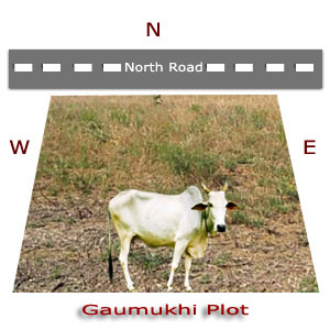 Gaumukhi-Plot