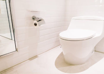 Toilet in Northeast Vastu Dosh and Remedies
