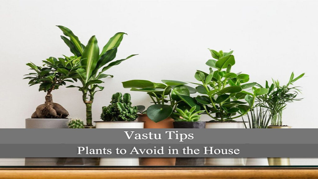 Vastu and Plants