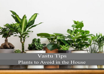 Vastu and Plants