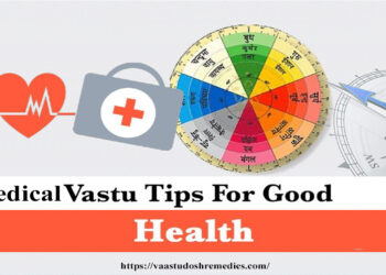 Medical Vastu for Good Health: Practical Tips by Vaastu Dosh Remedies